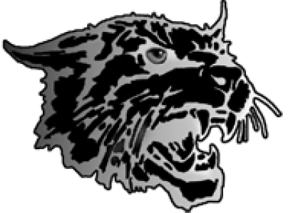 Bobcat Logo PNG Transparent