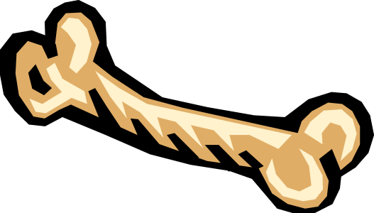 Human Bone Illustration PNG Download