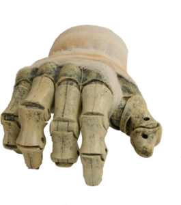 Human Bone Illustration PNG Download