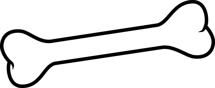 Human Bone Illustration PNG Download