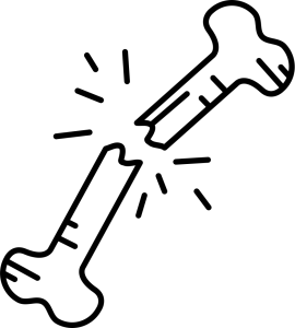 Human Bone Illustration PNG Download