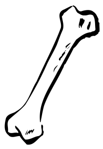 Human Bone Illustration PNG Download
