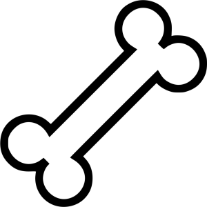 Human Bone Illustration PNG Download