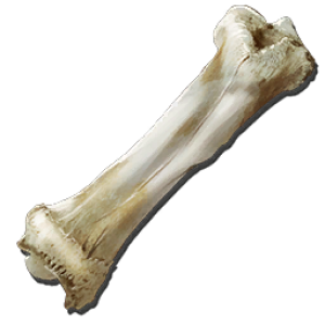 Bone Clipart PNG Transparent