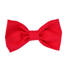 Bow Tie PNG Transparent Image