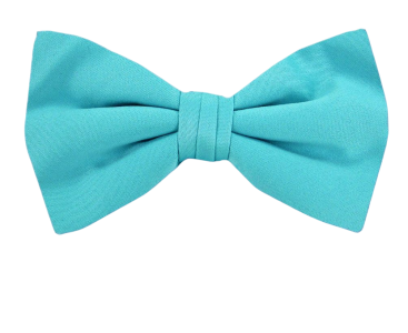Bow Tie PNG Transparent Image