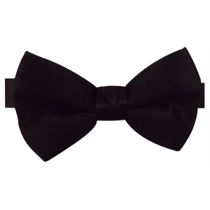 Bow Tie PNG Transparent Image