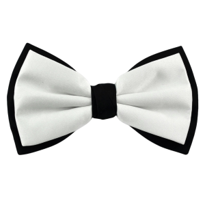 Bow Tie PNG Transparent Image