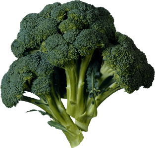Fresh Broccoli Vegetable PNG Download
