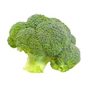 Fresh Broccoli Vegetable PNG Download