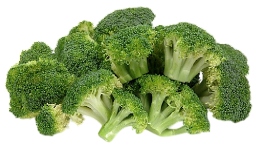 Fresh Broccoli Vegetable PNG Download