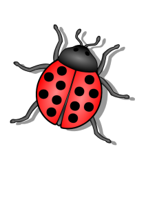 Insect/Bug Illustration PNG Download