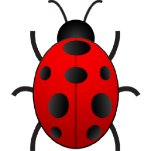 Insect/Bug Illustration PNG Download