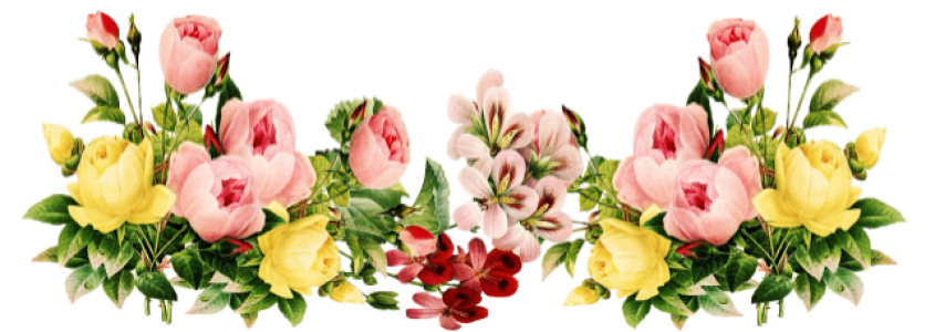 Bunga Clipart PNG Transparent Image