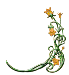 Flower/Bunga Illustration PNG Download