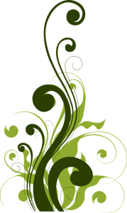 Flower/Bunga Illustration PNG Download