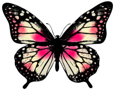 Colorful Butterfly Illustration PNG Download