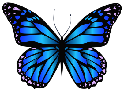 Colorful Butterfly Illustration PNG Download