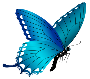 Colorful Butterfly Illustration PNG Download