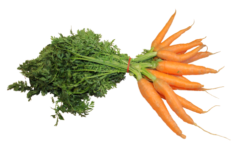 Carrot Vegetable PNG Transparent Image