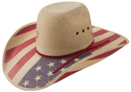 Cowboy Hat Transparent PNG
