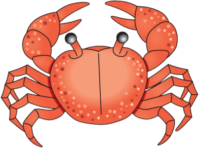 Red Crab Cartoon Clipart PNG