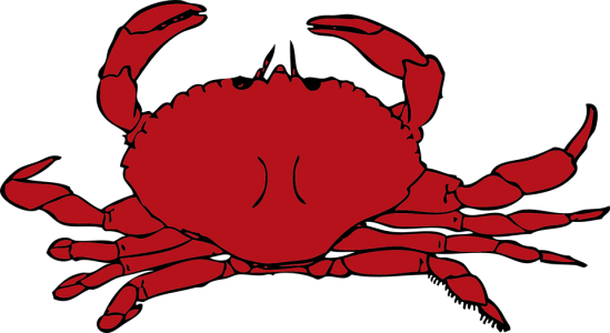 Red Crab Cartoon Clipart PNG