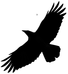 Black Crow Cartoon Clipart PNG