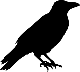 Black Crow Cartoon Clipart PNG