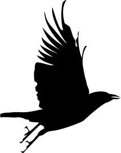 Black Crow Cartoon Clipart PNG